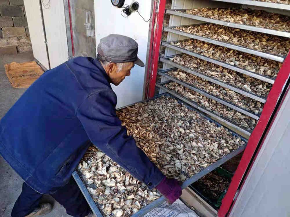 HNHGJ-M4煤柴型箱式脫水烘干機 HNHGJ-M4煤柴型箱式脫水烘干機