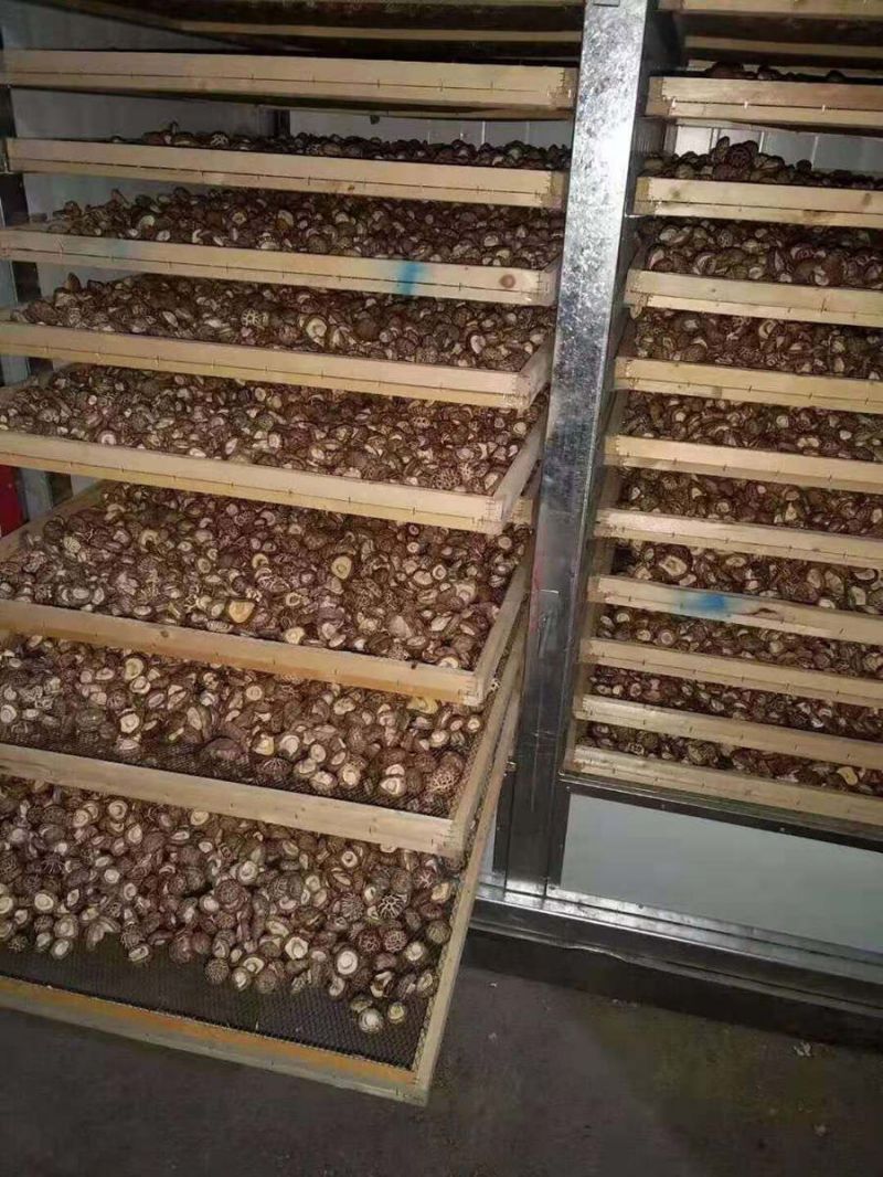 HNHGJ-D4型電加熱型箱式自動脫水烘干機(jī) HNHGJ-D4型電加熱型箱式自動脫水烘干機(jī)